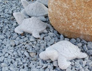 Schildkröten, Granit